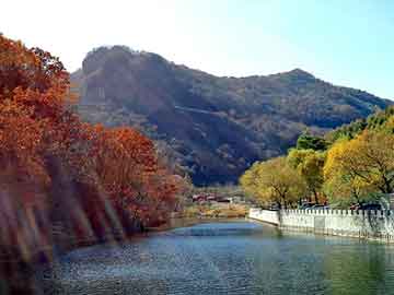 管家婆黑白马报图库，花架平面图